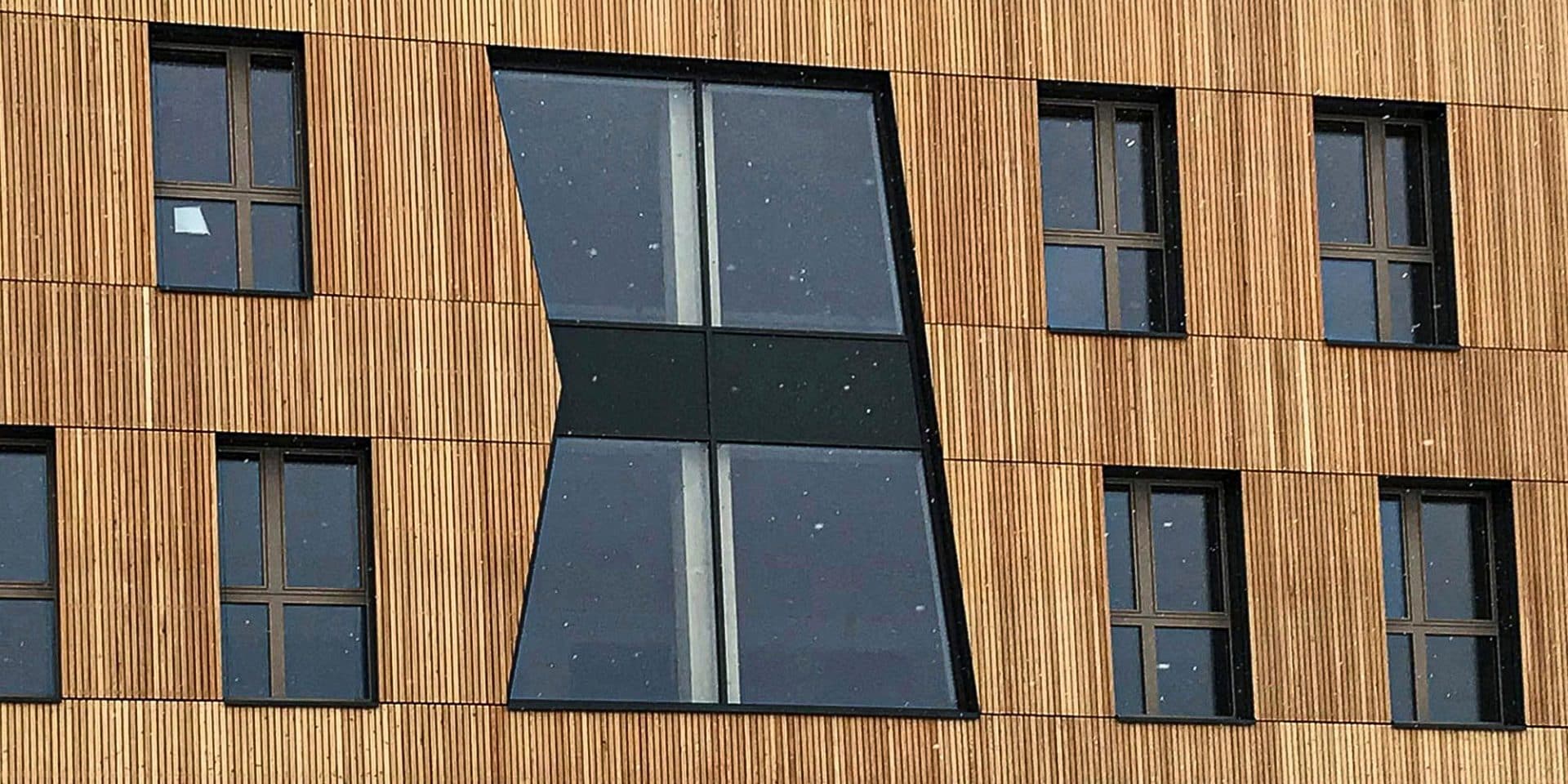 Fassade aus Holz mit Fenstern