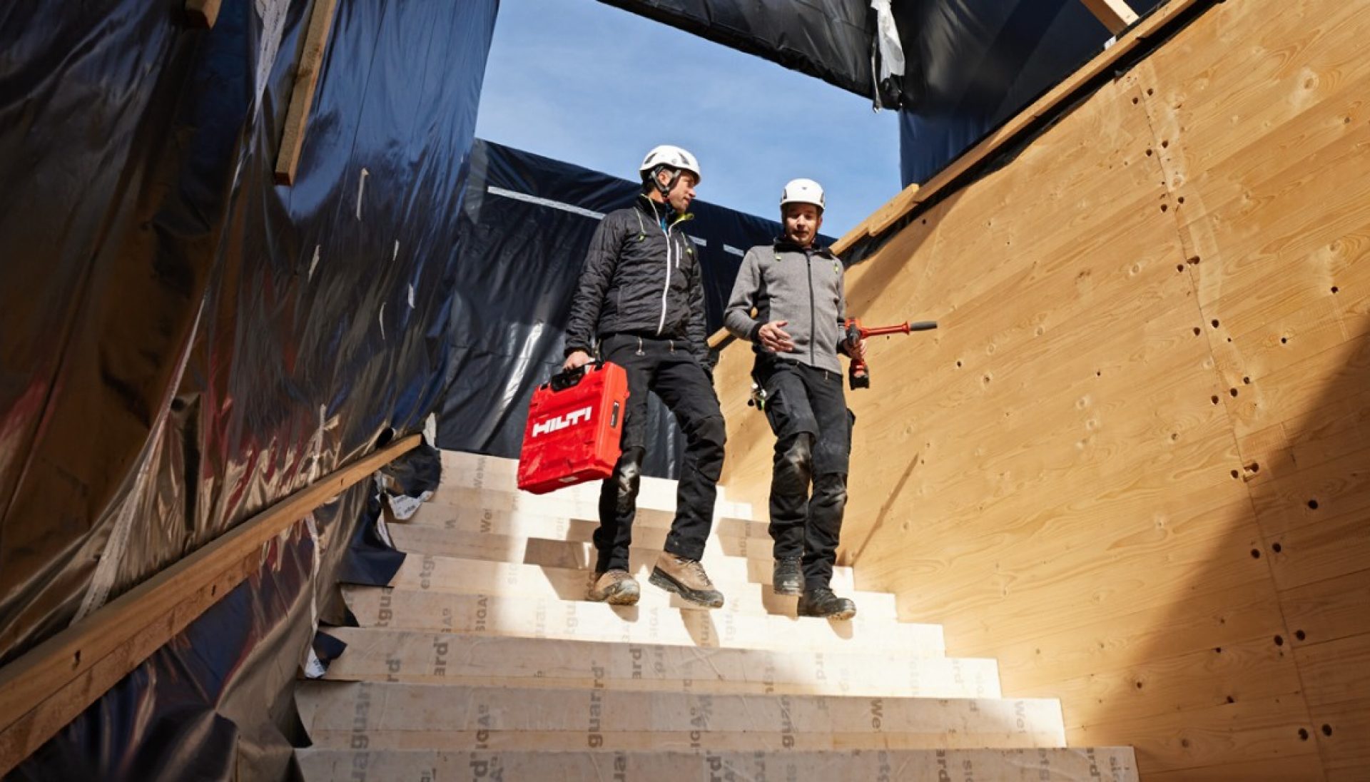 Deux ouvriers réalisent l'expertise d'une construction en bois