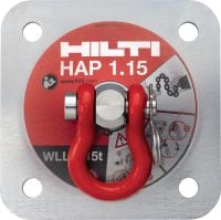 Aufzug-Haken HAP1.15 inkl. HSTM12X115/20 