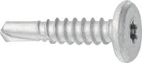 S-AD01L(P)SS Vite autoperforante in acciaio inox (A4) senza rondella per fissare facciate profilo su profilo