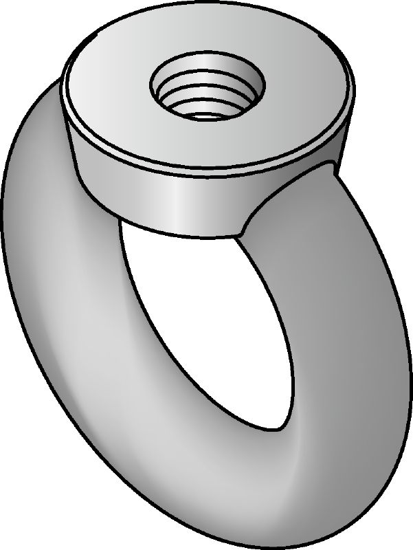 Œillet plat (A4) DIN 582 en acier inoxydable Œillet plat en acier inoxydable (A4) conforme à DIN 582 avec tête bouclée pour accueillir un crochet