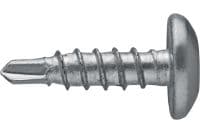 Metallbau-Selbstbohrschrauben S-MD 01 LPS Selbstbohrschraube mit Linsenkopf (A2 Edelstahl) ohne Unterlegscheibe für dünne Metall-Metall-Befestigungen (bis 4 mm)